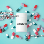 Antibiyotik Kullanırken Ayran İçilir mi?