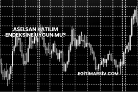 Aselsan Katılım Endeksine Uygun mu?