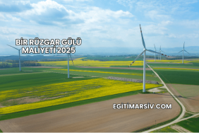 Bir Rüzgar Gülü Maliyeti 2025