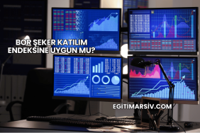 Bor Şeker Katılım Endeksine Uygun mu?
