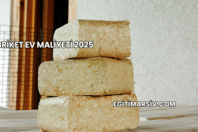 Briket Ev Maliyeti 2025