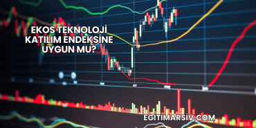 Ekos Teknoloji Katılım Endeksine Uygun mu?