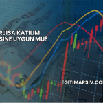 Enerjisa Katılım Endeksine Uygun mu?