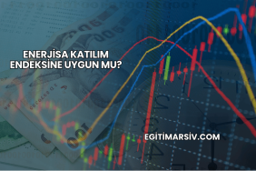 Enerjisa Katılım Endeksine Uygun mu?