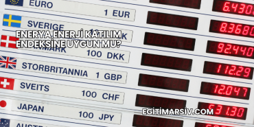 Enerya Enerji Katılım Endeksine Uygun mu?