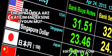 Enerya Halka Arz Katılım Endeksine Uygun mu?