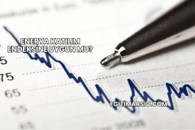 Enerya Katılım Endeksine Uygun mu?