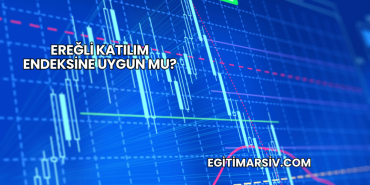 Ereğli Katılım Endeksine Uygun mu?