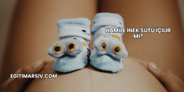 Hamile İnek Sütü İçilir mi?