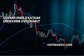 İZDEMİR Enerji Katılım Endeksine Uygun mu?