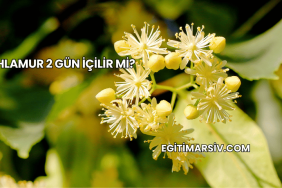 Ihlamur 2 Gün İçilir mi?