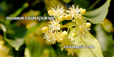 Ihlamur 2 Gün İçilir mi?