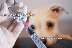 Menveo Aşısı Ne Zaman Yapılır?