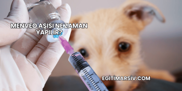 Menveo Aşısı Ne Zaman Yapılır?