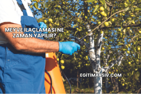 Meyve İlaçlaması Ne Zaman Yapılır?
