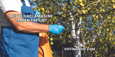Meyve İlaçlaması Ne Zaman Yapılır?