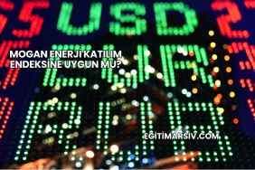Mogan Enerji Katılım Endeksine Uygun mu?