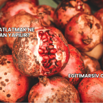 Nar Patlatmak Ne Zaman Yapılır?