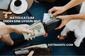 Naten Katılım Endeksine Uygun mu?