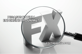Pegasus Katılım Endeksine Uygun mu?