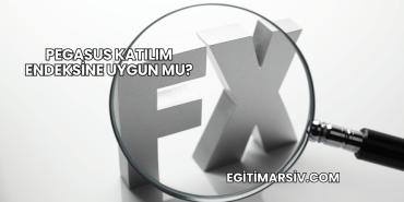 Pegasus Katılım Endeksine Uygun mu?