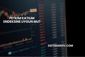 Petkim Katılım Endeksine Uygun mu?