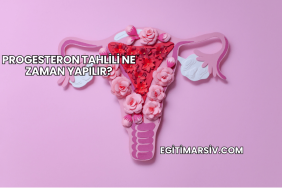 Progesteron Tahlili Ne Zaman Yapılır?