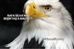 Rafa Silva'nın Beşiktaş'a Maliyeti