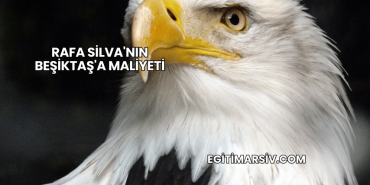 Rafa Silva'nın Beşiktaş'a Maliyeti