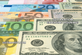 SDTTR Katılım Endeksine Uygun mu?