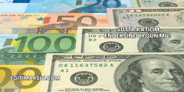 SDTTR Katılım Endeksine Uygun mu?