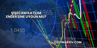 Şişecam Katılım Endeksine Uygun mu?