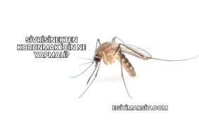 Sivrisinekten Korunmak İçin Ne Yapmalı?