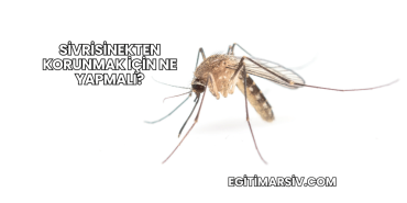 Sivrisinekten Korunmak İçin Ne Yapmalı?