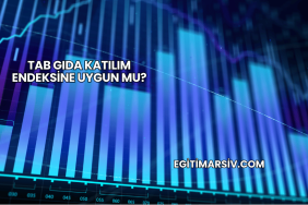 TAB Gıda Katılım Endeksine Uygun mu?TAB Gıda Katılım Endeksine Uygun mu?