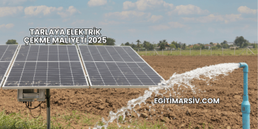 Tarlaya Elektrik Çekme Maliyeti 2025