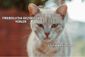 Tirebolu'da Gezilecek Yerler