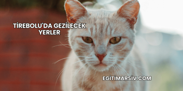 Tirebolu'da Gezilecek Yerler