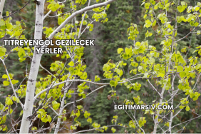 Titreyengöl Gezilecek Yerler