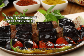 Tokat'ta Merkezde Gezilecek Yerler
