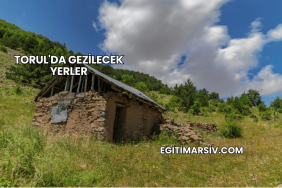 Torul'da Gezilecek Yerler