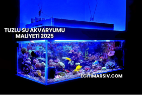 Tuzlu Su Akvaryumu Maliyeti 2025