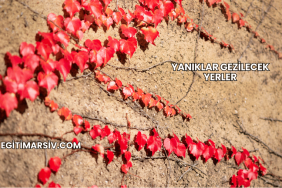 Yanıklar Gezilecek Yerler