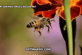 Arı Sokması Orucu Bozar mı?