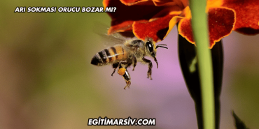 Arı Sokması Orucu Bozar mı?