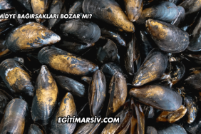Midye Bağırsakları Bozar mı?