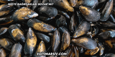 Midye Bağırsakları Bozar mı?