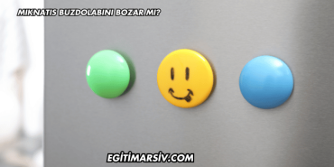 Mıknatıs Buzdolabını Bozar mı?