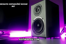 Mıknatıs Hoparlörü Bozar mı?