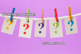 Niche Nasıl Okunur?